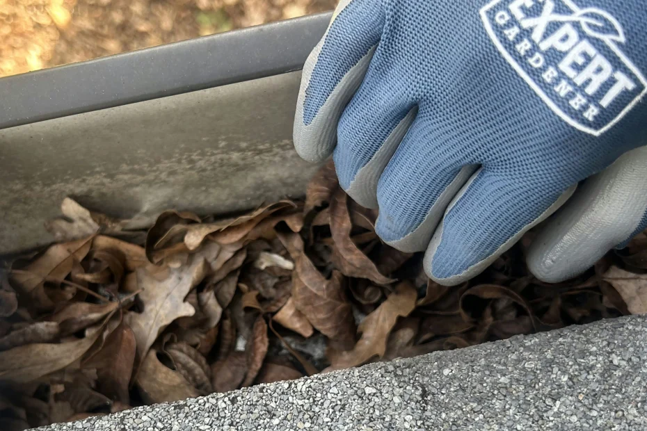 Gutter Cleaning Eastover