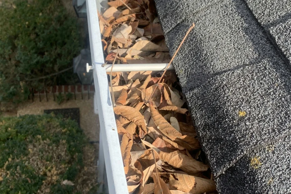 Gutter Cleaning Eastover